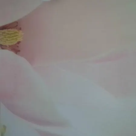 Kimberly House Appartement