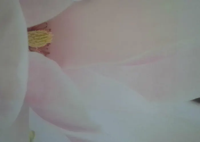 Kimberly House 公寓